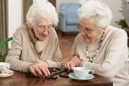  What Is Senior Housing Family Assets